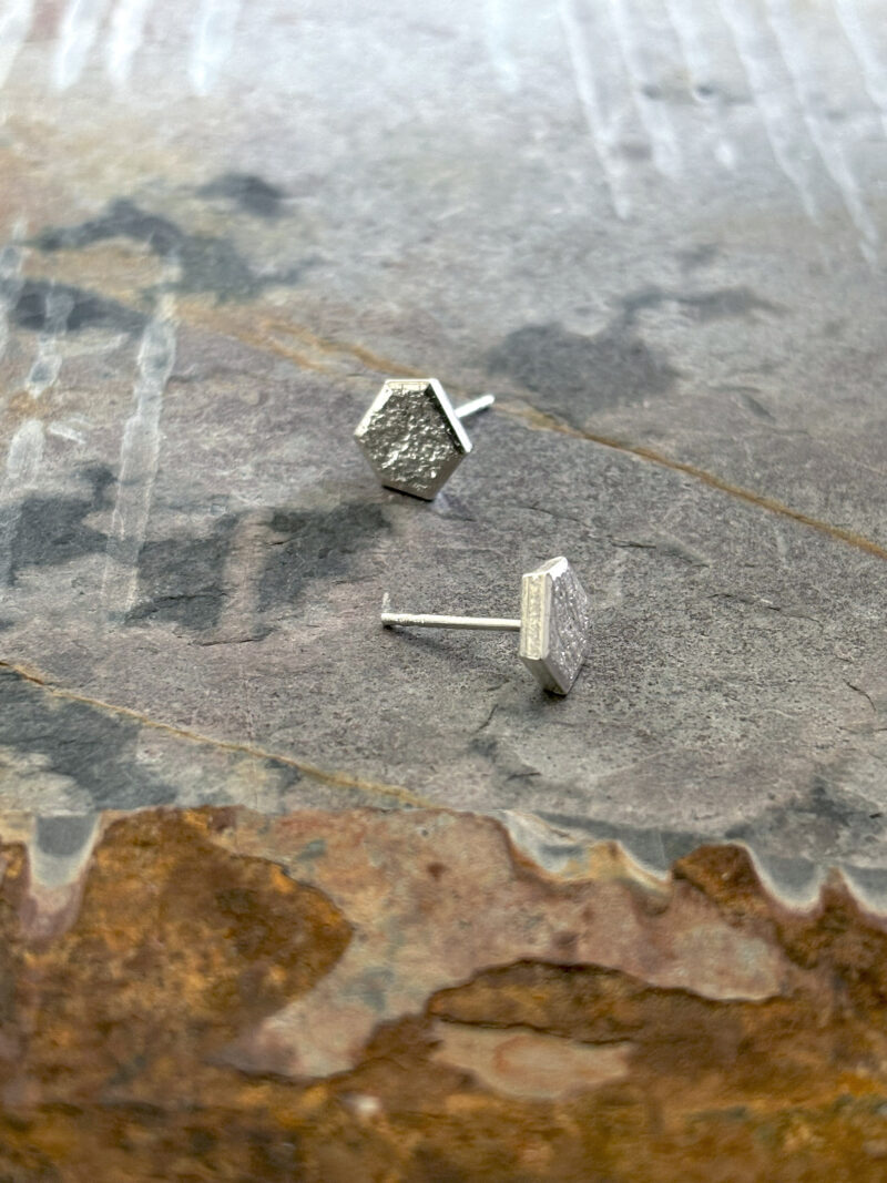 UNTAMED edge post earrings - Image 3