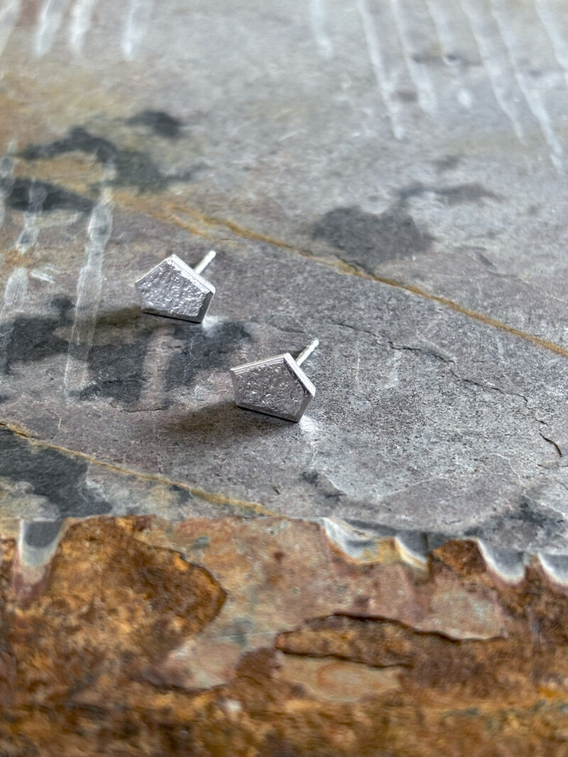 UNTAMED edge post earrings - Image 9